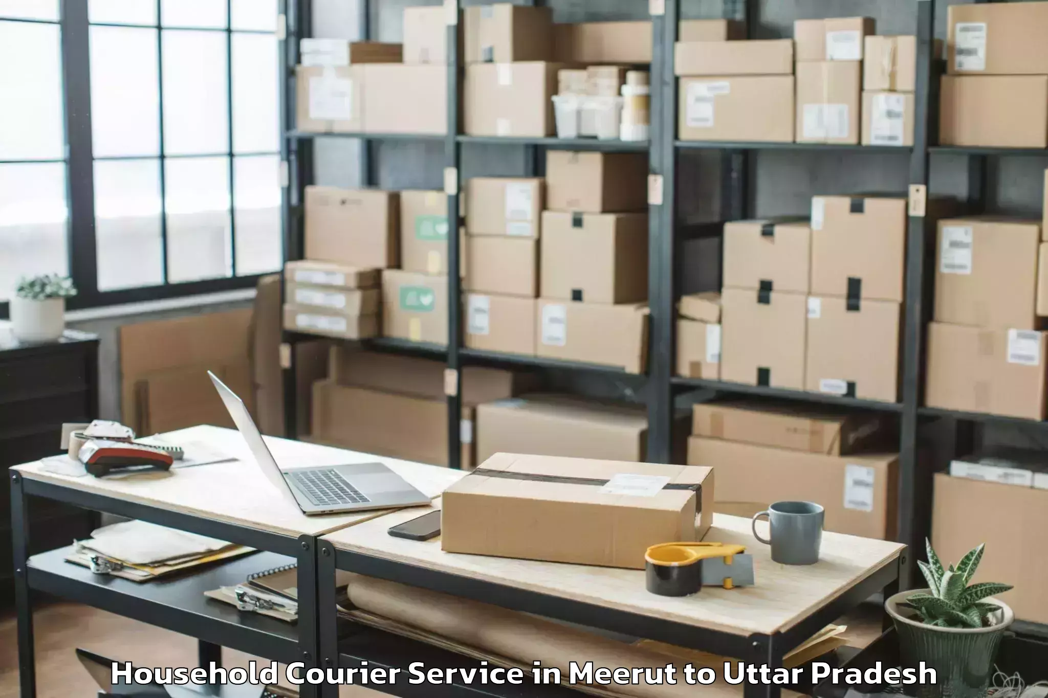 Professional Meerut to Bahua Household Courier